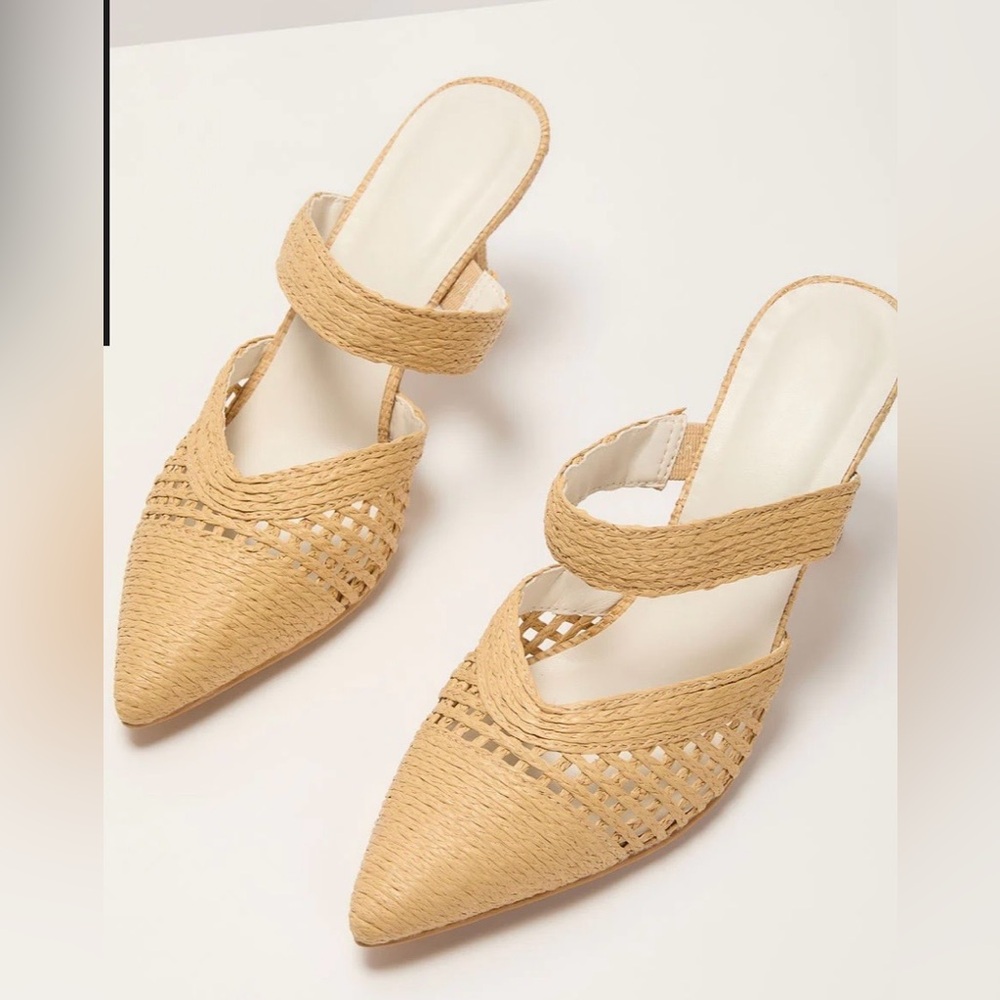 NWOT Freshly Picked Raffia Pointed Toe Mule
